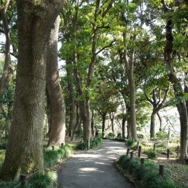 Chidorigafuchi in Tokyo, Walking path of the Ryokudo ride