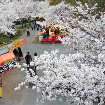 Kema Sakuranomiya Park in Osaka, Food stalls under the cherry trees