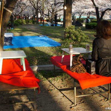 Kema Sakuranomiya Park in Osaka, Tarpaulins and food stalls under the cherry trees