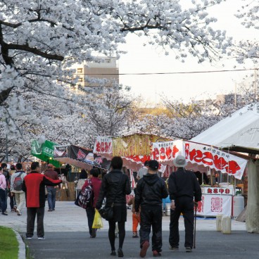 Kema Sakuranomiya Park in Osaka, Food stalls under the cherry trees 2