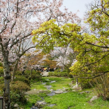 Maruyama Park (Kyoto), View on the garden in spring