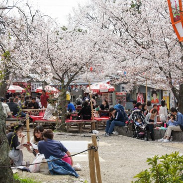Maruyama Park (Kyoto), Food stalls in spring