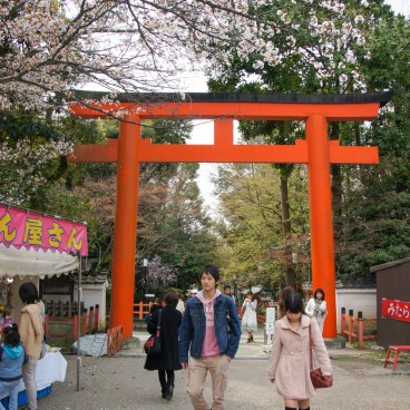 Maruyama Park (Kyoto), Visitors arriving from Yasaka-jinja