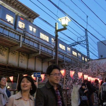 Naka Meguro-gawa in Shibuya (Tokyo), Visitors arriving from the station at nightfall