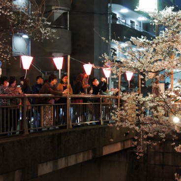 Naka Meguro-gawa in Shibuya (Tokyo), Visitors enjoying the Sakura festival and taking pictures of the light-up 2