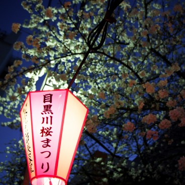 Naka Meguro-gawa in Shibuya (Tokyo), Lantern of the Meguro-gawa Sakura Matsuri