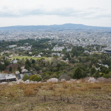 Nara City, view from Wakakusayama during cherry blossom season