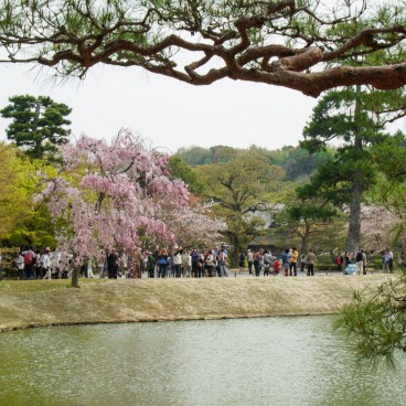 Byodo-in temple in Uji, Visitors in the temple's grounds in spring