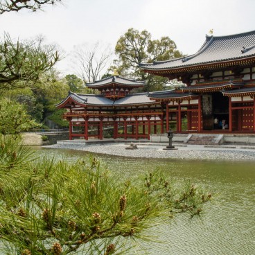 Byodo-in temple in Uji, Phoenix Hall and pine tree
