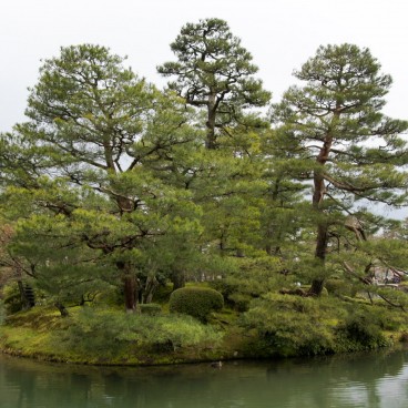 Kenrokuen Garden in Kanazawa, Pine tree islet on the pond