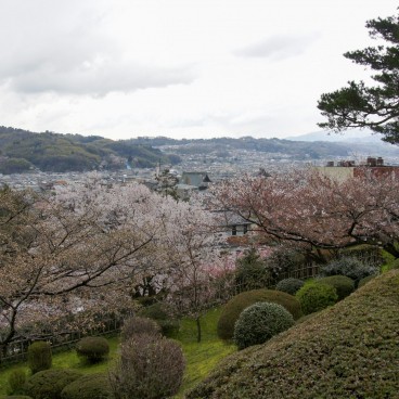 Kenrokuen Garden in Kanazawa, View on the city with blooming cherry trees in the foreground