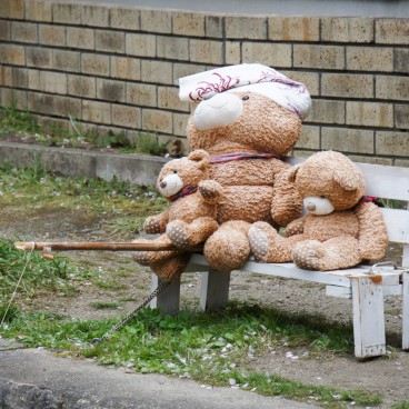 Philosopher's Path in Kyoto, A Teddy bears family