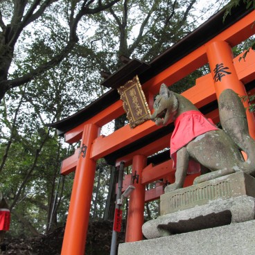 Fushimi Inari Taisha in Kyoto, Torii gates and Inari fox statues 2