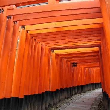 Fushimi Inari Taisha in Kyoto, Corridor of torii gates 2