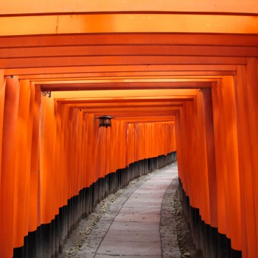 Fushimi Inari Taisha in Kyoto, Corridor of torii gates 3