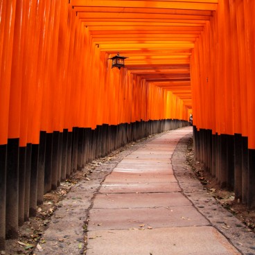 Fushimi Inari Taisha in Kyoto, Corridor of torii gates 4