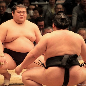 Sumo tournament in Osaka, Wrestlers preparing for a bout