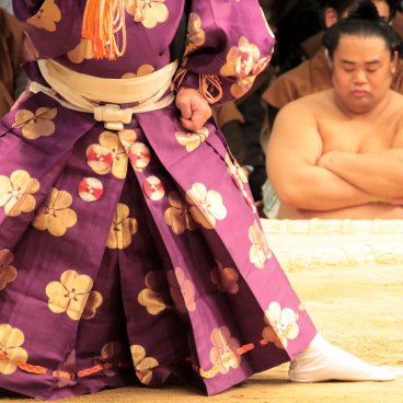 Sumo tournament in Osaka, Detail on a referee's stance