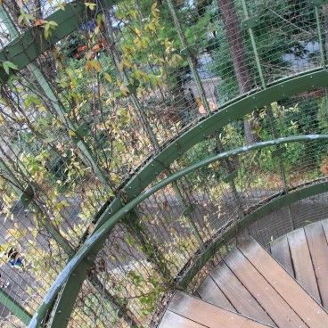 Ghibli Museum (Mitaka), Spiral staircase 3