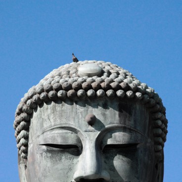 Kotoku-in (Kamakura), Detail of the Great Buddha bronze statue's head