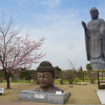 Ushiku Daibutsu Great Buddha in Ushiku (Ibaraki) in spring