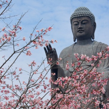 Ushiku Daibutsu Great Buddha in Ushiku (Ibaraki) in spring 2