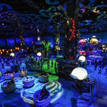 Tokyo Disneysea Disney Land 15