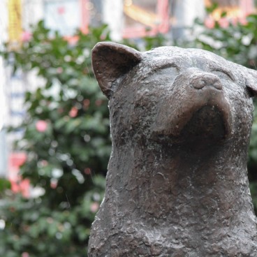 Statue of Hachiko the loyal dog in Shibuya (Tokyo)