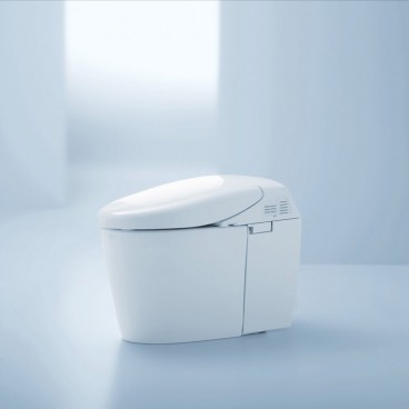 Japanese Toilets