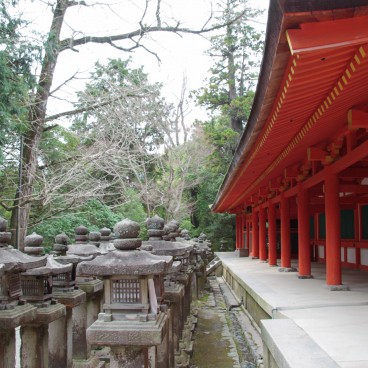 Kasuga Taisha Grand Shrine in Nara, Stone lanterns and shrine's building
