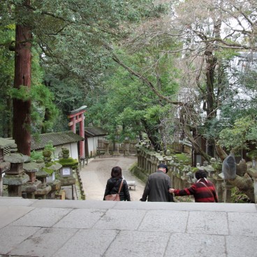 Kasuga Taisha Grand Shrine in Nara 2