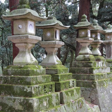 Kasuga Taisha Grand Shrine in Nara, Stone lanterns 6