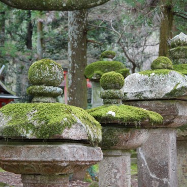 Kasuga Taisha Grand Shrine in Nara, Stone lanterns 2