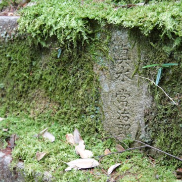 Kasuga Taisha Grand Shrine in Nara, Stele covered in moss