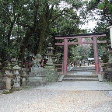 Kasuga Taisha (Nara), Torii 