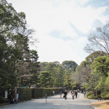 Kokyo Tokyo Imperial Palace, View of the Outer garden