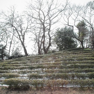 Kokyo Tokyo Imperial Palace, Landscaping of the garden