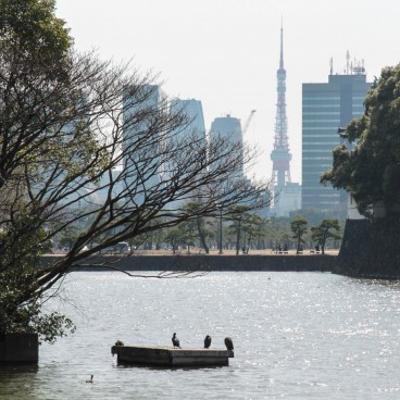 Kokyo Tokyo Imperial Palace, View of a moat toward south and the Tokyo Tower in the background 2