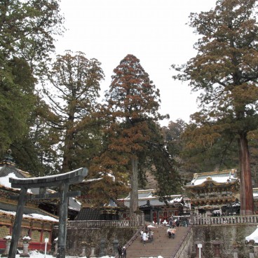 Toshogu (Nikko), Great Torii gate and Yomeimon Gate