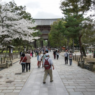 Todai-ji (Nara) in spring
