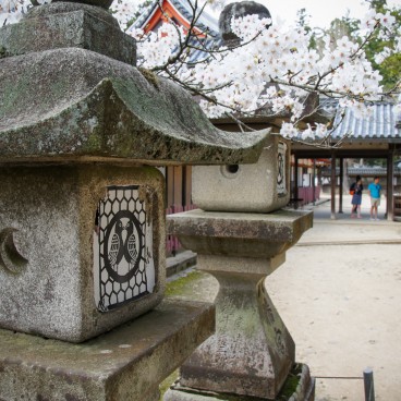 Todai-ji (Nara), Stone lanterns