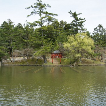Todai-ji (Nara), Shinto torii gate