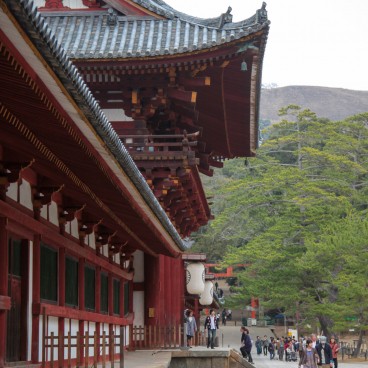 Todai-ji (Nara) 4