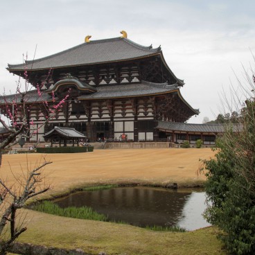 Todai-ji (Nara), Daibutsu-den in the end of winter