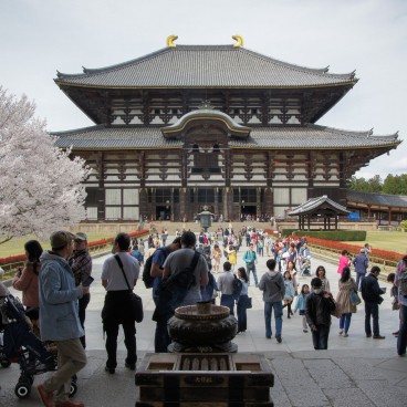 Todai-ji (Nara), Daibutsu-den in spring