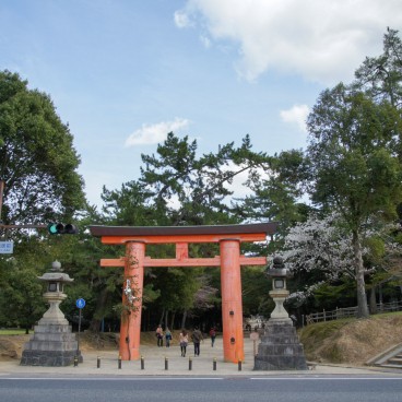 Nara Park (Nara), Great torii gate 2