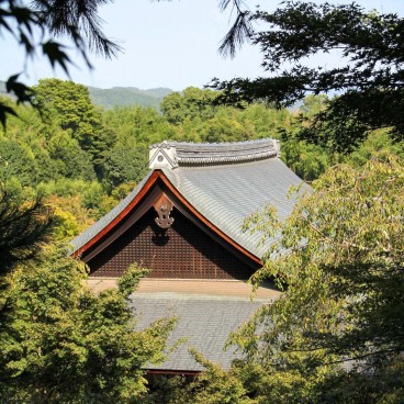 Tenryuji Temple 18