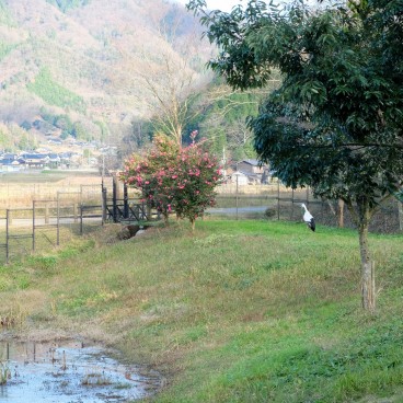Kinosaki Onsen (Hyogo), Konotori no Sato Park 2