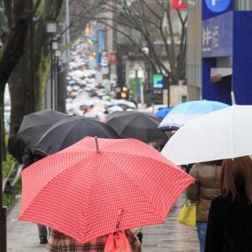 Omotesando Avenue in Tokyo, Busy sidewalks on a rainy day