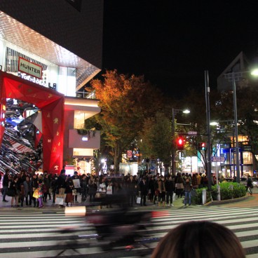 Omotesando Avenue in Tokyo, Shops' illuminated windows at night